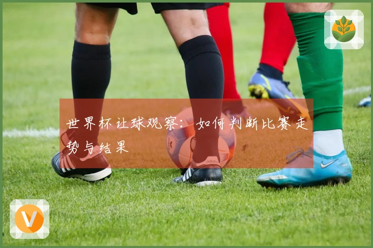 世界杯让球观察：如何判断比赛走势与结果