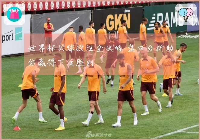 世界杯买球投注全攻略 盘口分析助你赢得下注胜利