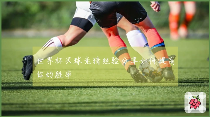 世界杯买球竞猜经验分享如何提高你的胜率