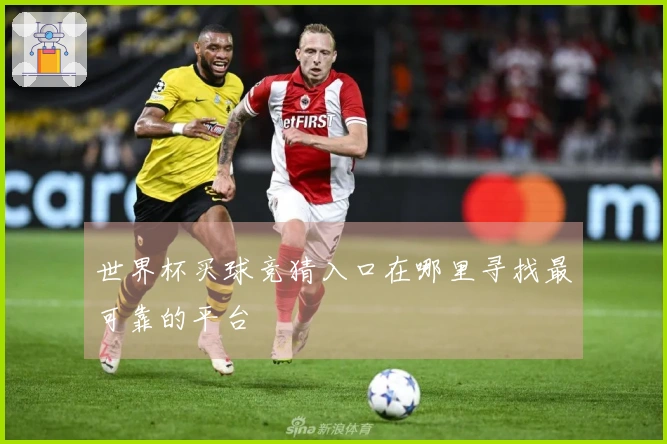 世界杯买球竞猜入口在哪里寻找最可靠的平台