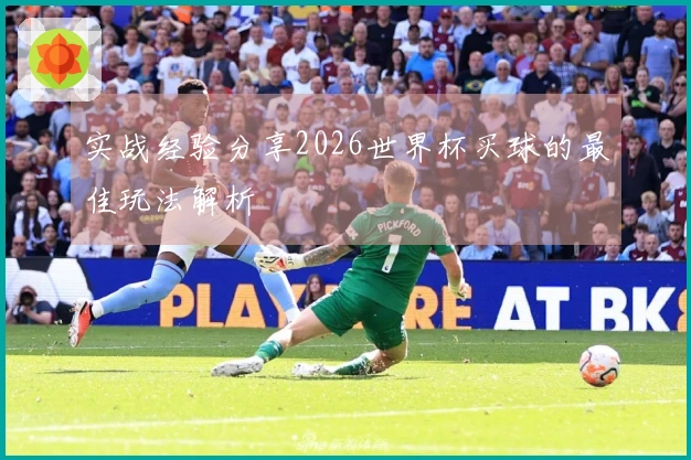 实战经验分享2026世界杯买球的最佳玩法解析