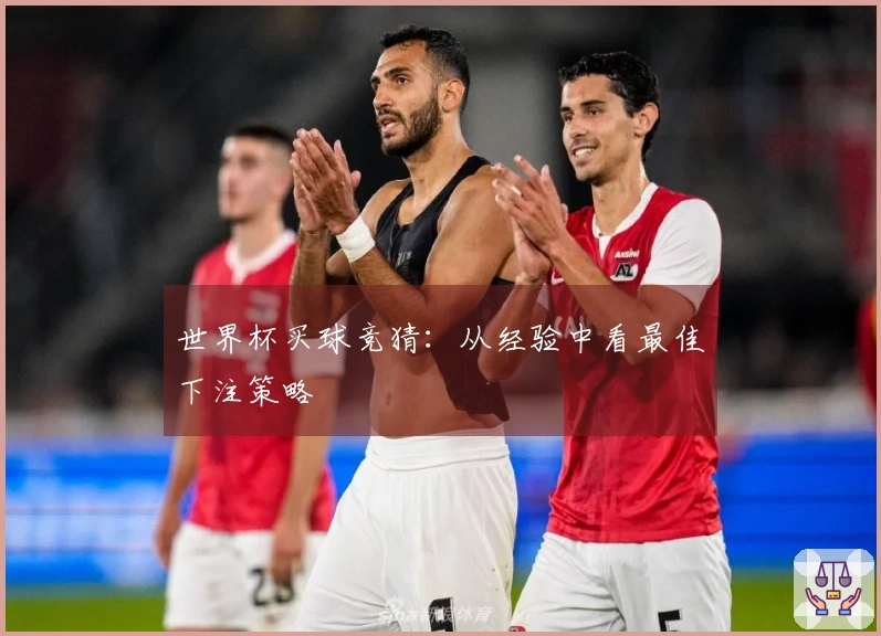世界杯买球竞猜：从经验中看最佳下注策略