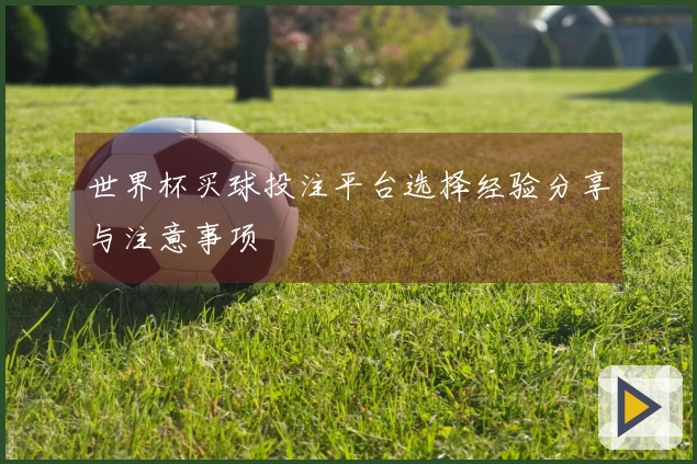 世界杯买球投注平台选择经验分享与注意事项