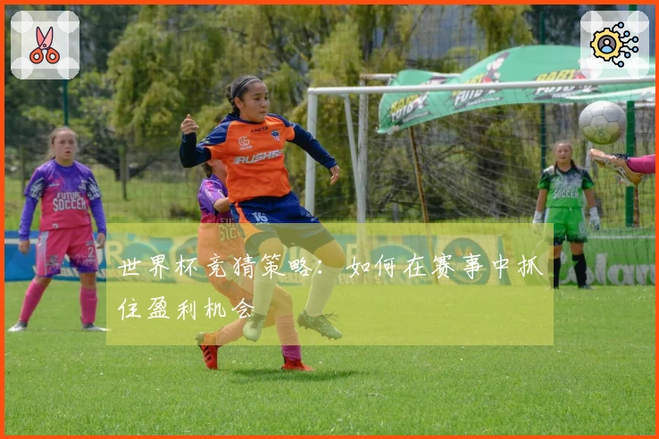 世界杯竞猜策略：如何在赛事中抓住盈利机会