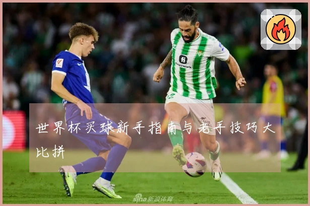 世界杯买球新手指南与老手技巧大比拼