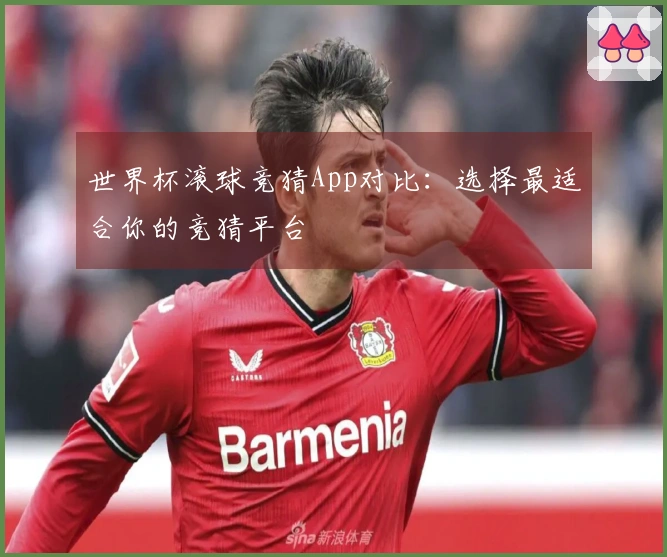 世界杯滚球竞猜App对比：选择最适合你的竞猜平台