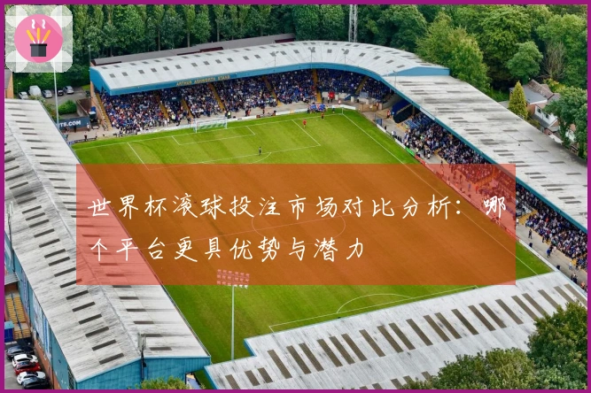 世界杯滚球投注市场对比分析：哪个平台更具优势与潜力