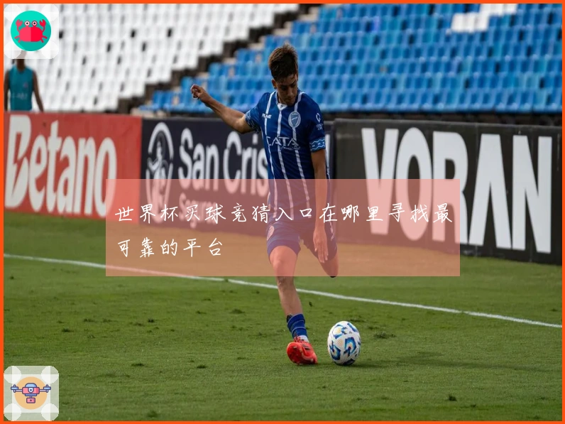 世界杯买球竞猜入口在哪里寻找最可靠的平台