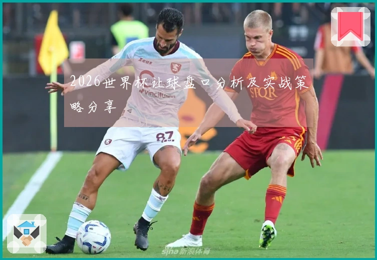 2026世界杯让球盘口分析及实战策略分享