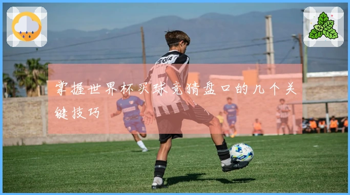 掌握世界杯买球竞猜盘口的几个关键技巧