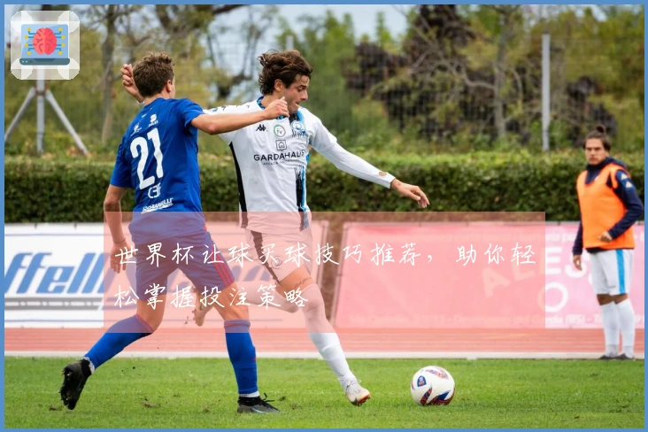 世界杯让球买球技巧推荐，助你轻松掌握投注策略