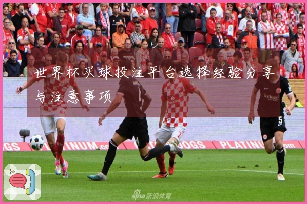 世界杯买球投注平台选择经验分享与注意事项