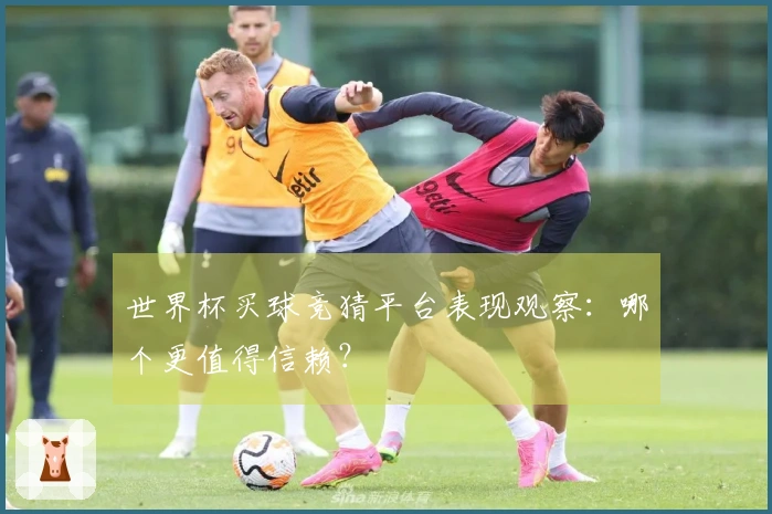 世界杯买球竞猜平台表现观察：哪个更值得信赖？