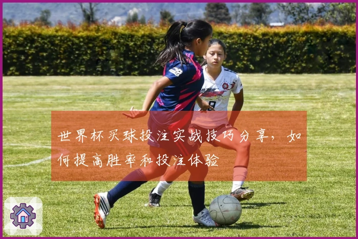 世界杯买球投注实战技巧分享，如何提高胜率和投注体验