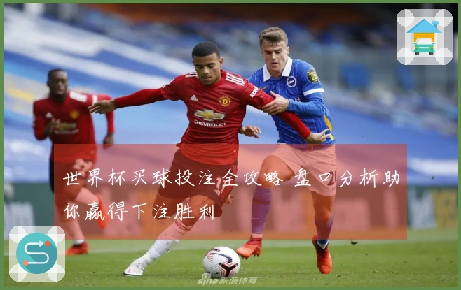 世界杯买球投注全攻略 盘口分析助你赢得下注胜利
