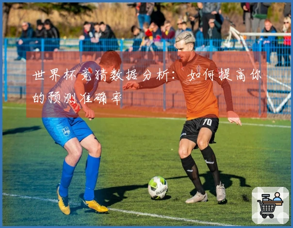 世界杯竞猜数据分析：如何提高你的预测准确率
