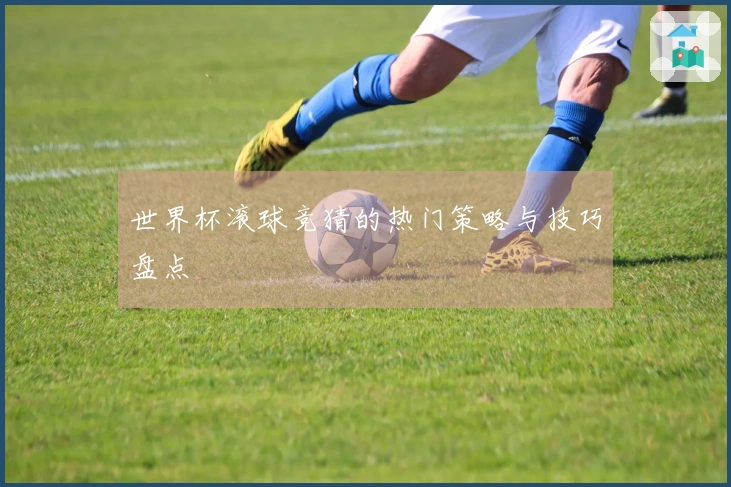 世界杯滚球竞猜的热门策略与技巧盘点