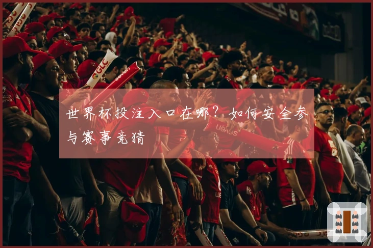 世界杯投注入口在哪？如何安全参与赛事竞猜