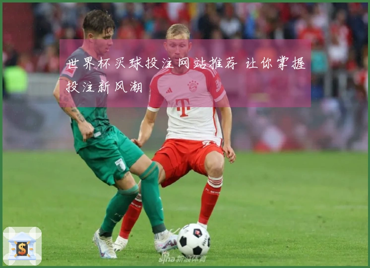 世界杯买球投注网站推荐 让你掌握投注新风潮