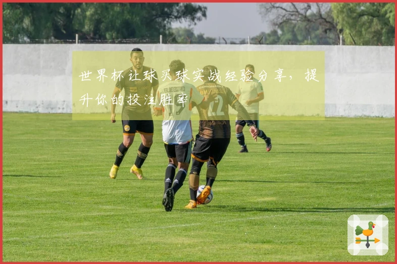 世界杯让球买球实战经验分享，提升你的投注胜率