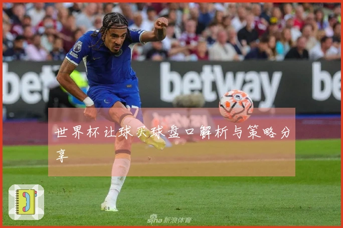 世界杯让球买球盘口解析与策略分享