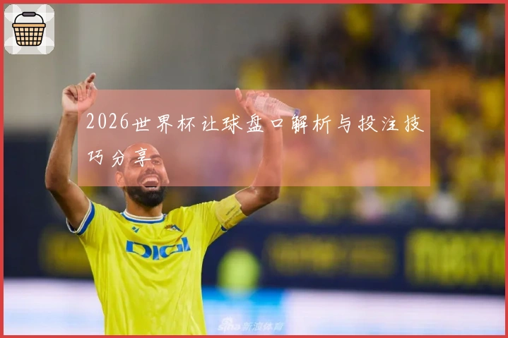 2026世界杯让球盘口解析与投注技巧分享